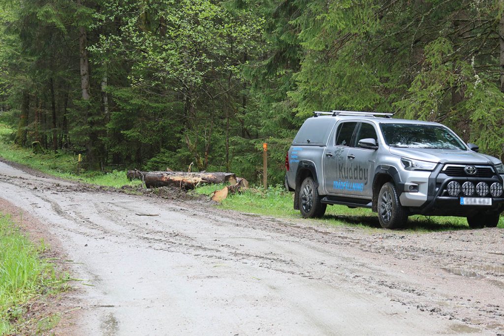 Bitvis ganska spårigt.