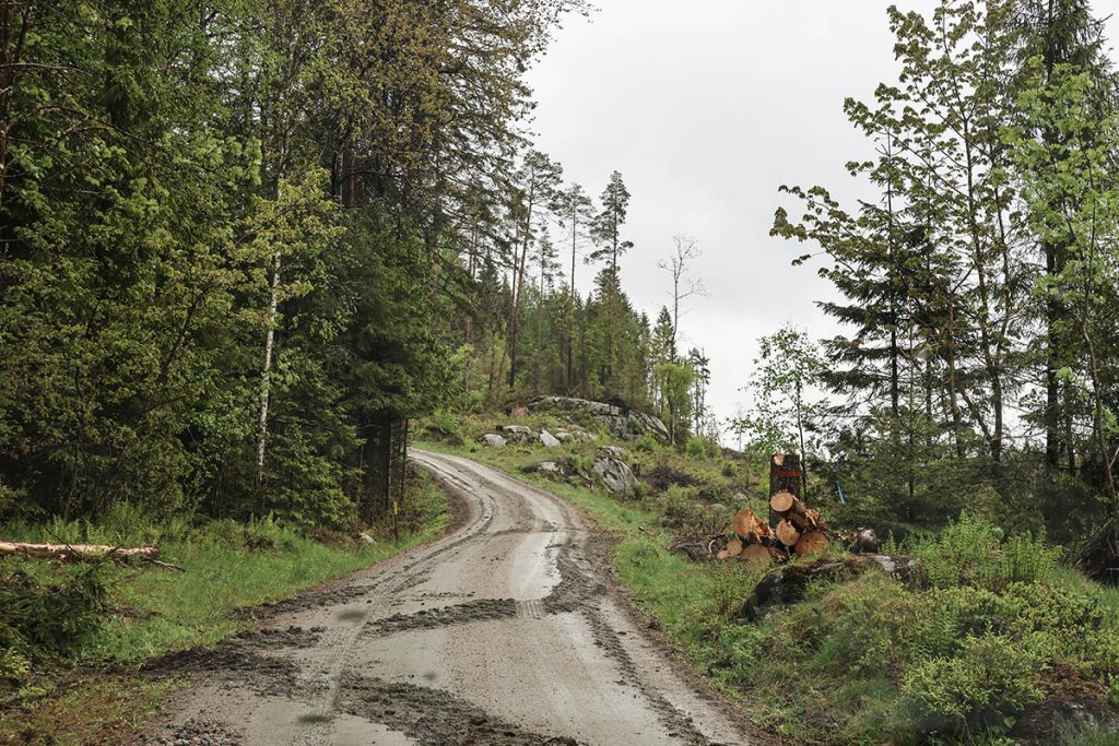Virke vid vägkanten.